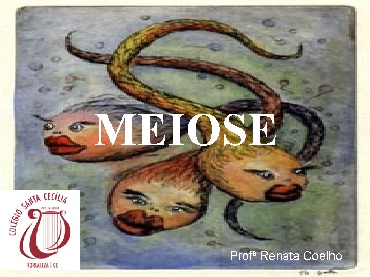 MEIOSE Profª Renata Coelho 2 