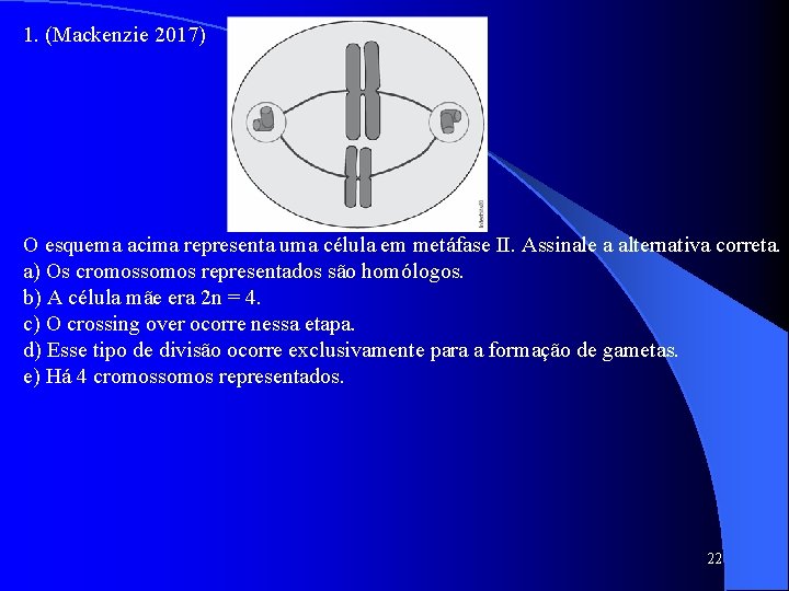 1. (Mackenzie 2017) O esquema acima representa uma célula em metáfase II. Assinale a