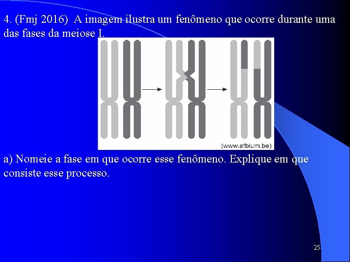 4. (Fmj 2016) A imagem ilustra um fenômeno que ocorre durante uma das fases