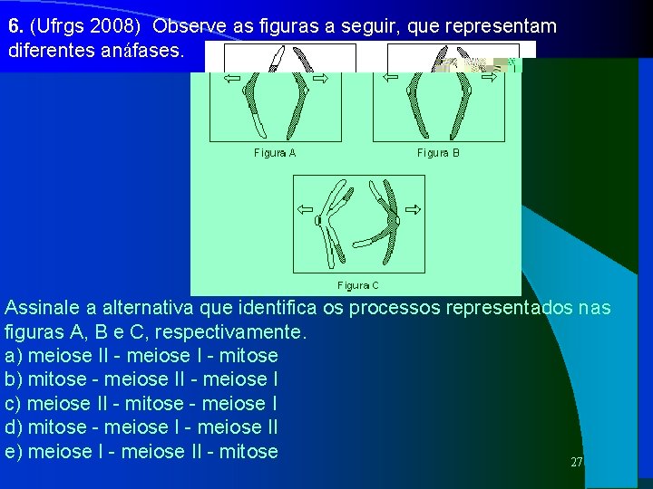 6. (Ufrgs 2008) Observe as figuras a seguir, que representam diferentes anáfases. Assinale a