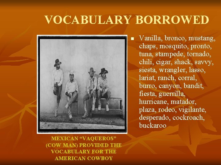 VOCABULARY BORROWED n MEXICAN “VAQUEROS” (COW MAN) PROVIDED THE VOCABULARY FOR THE AMERICAN COWBOY
