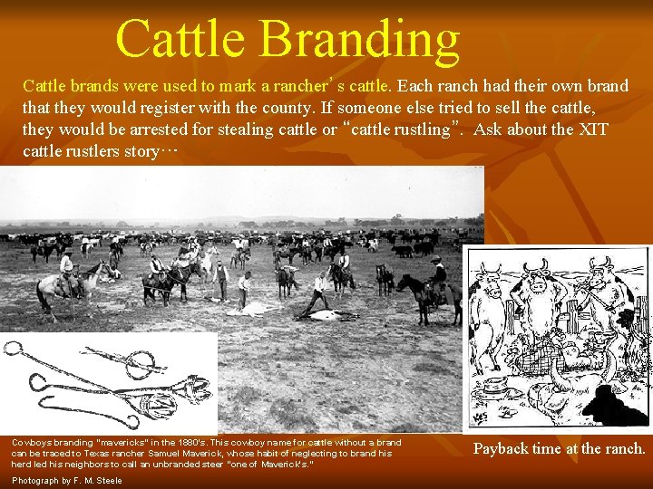 Cattle Branding Cattle brands were used to mark a rancher’s cattle. Each ranch had