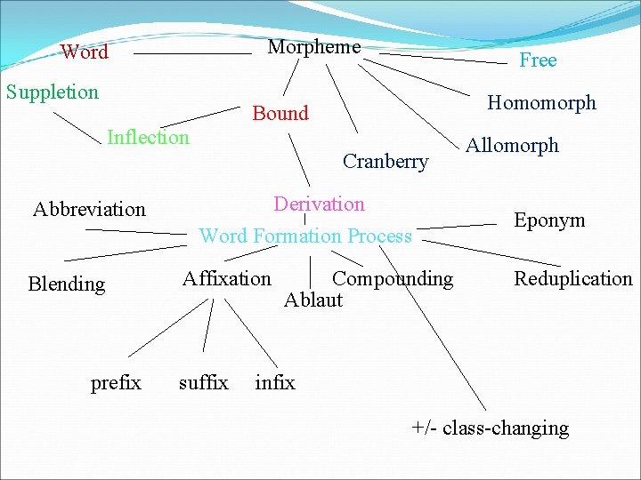 Morpheme Word Suppletion Homomorph Bound Inflection Abbreviation Blending Free Cranberry Derivation Word Formation Process