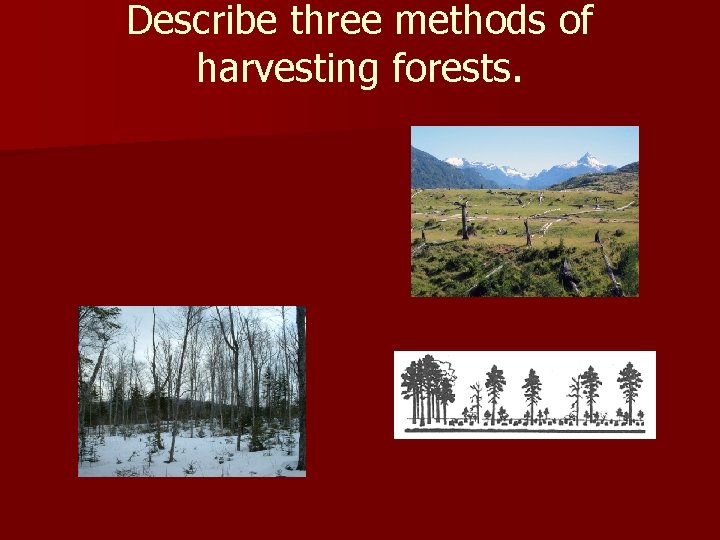 Describe three methods of harvesting forests. – – – Selective cutting Clear-cutting Seed tree