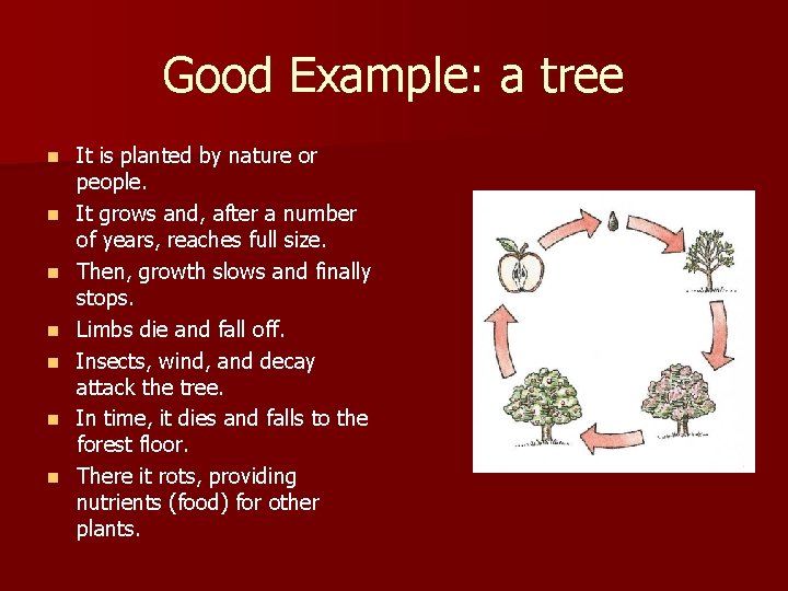 Good Example: a tree n n n n It is planted by nature or