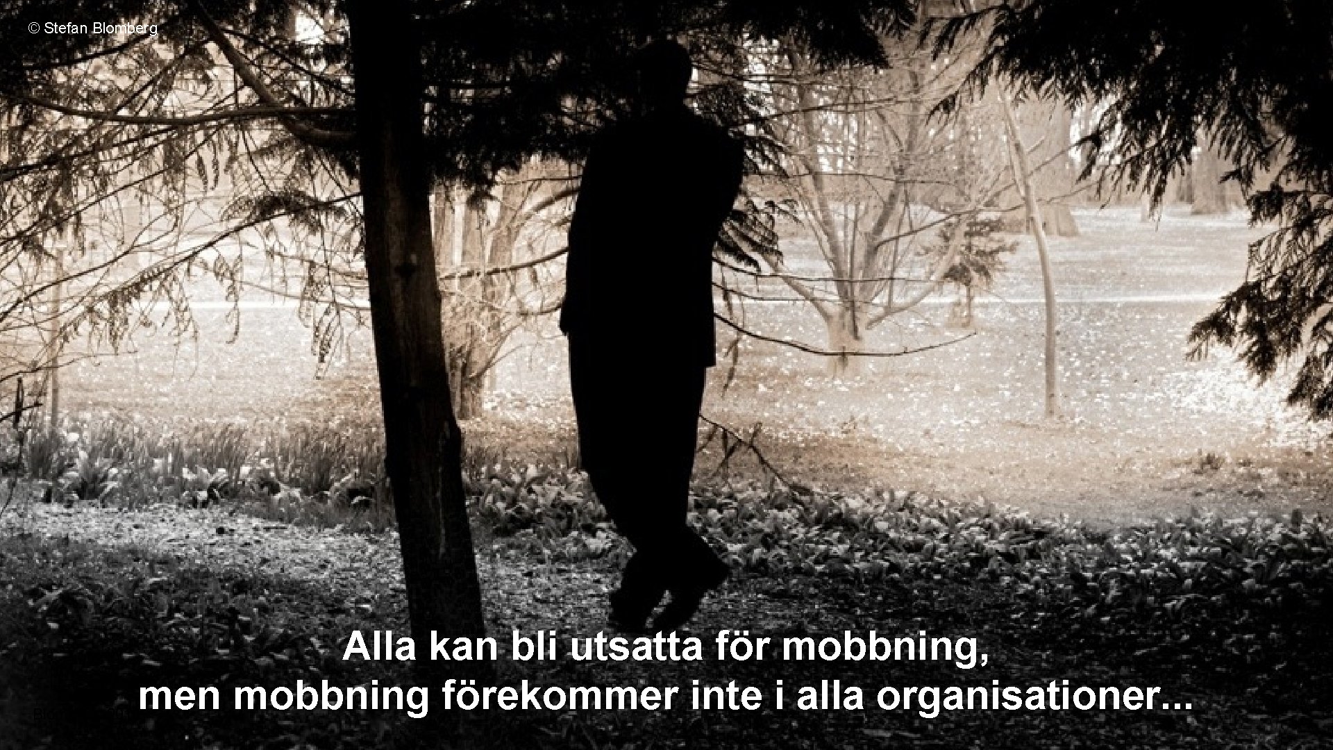 © Stefan Blomberg Alla kan bli utsatta för mobbning, men mobbning förekommer inte i