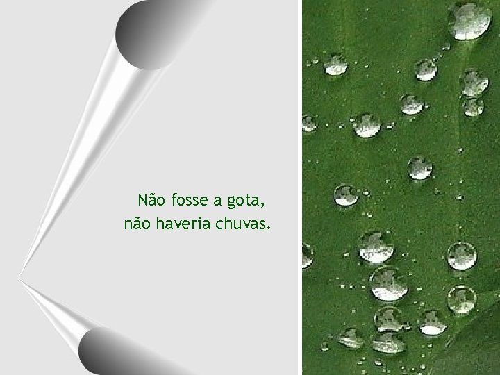 Não fosse a gota, não haveria chuvas. 