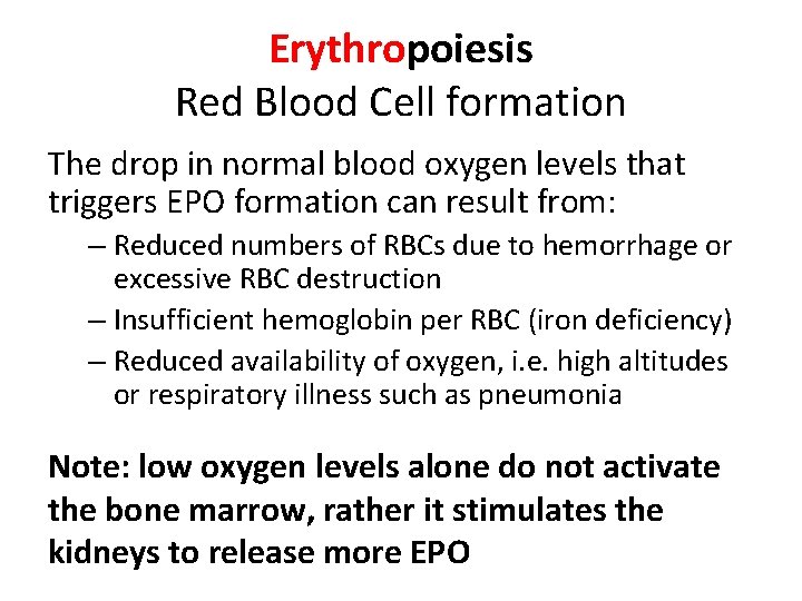 Erythropoiesis Red Blood Cell formation The drop in normal blood oxygen levels that triggers