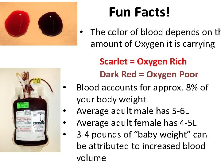 Fun Facts! • The color of blood depends on th amount of Oxygen it