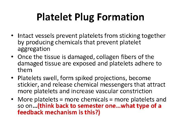 Platelet Plug Formation • Intact vessels prevent platelets from sticking together by producing chemicals