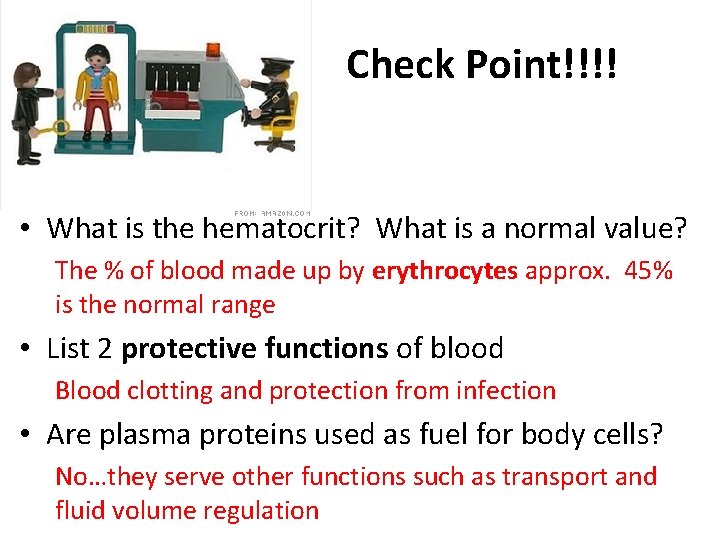 Check Point!!!! • What is the hematocrit? What is a normal value? The %