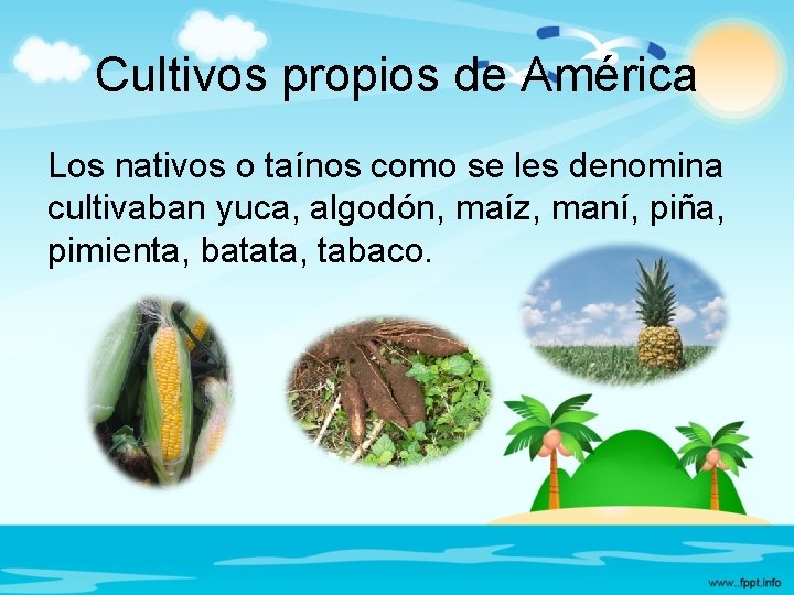 Cultivos propios de América Los nativos o taínos como se les denomina cultivaban yuca,