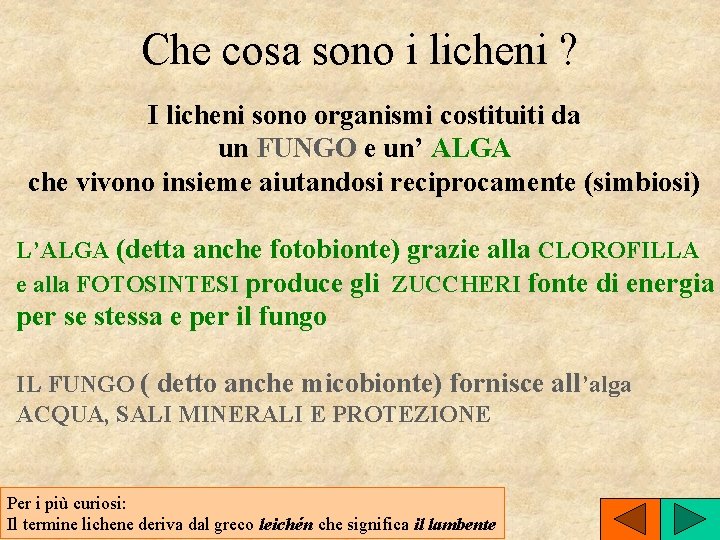 Che cosa sono i licheni ? I licheni sono organismi costituiti da un FUNGO