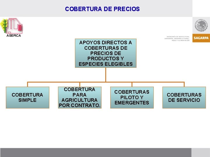COBERTURA DE PRECIOS APOYOS DIRECTOS A COBERTURAS DE PRECIOS DE PRODUCTOS Y ESPECIES ELEGIBLES