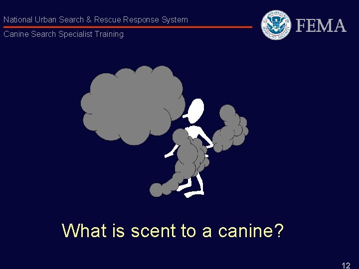 National Urban Search & Rescue Response System Canine Search Specialist Training What is scent