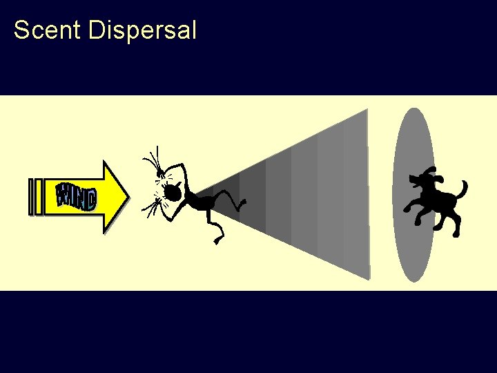 Scent Dispersal 