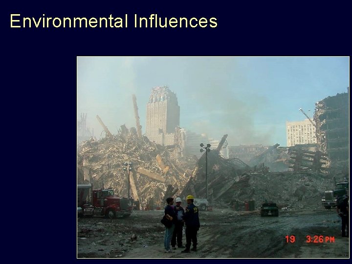 Environmental Influences 