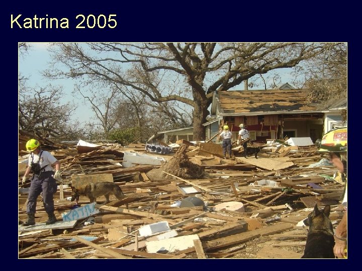 Katrina 2005 