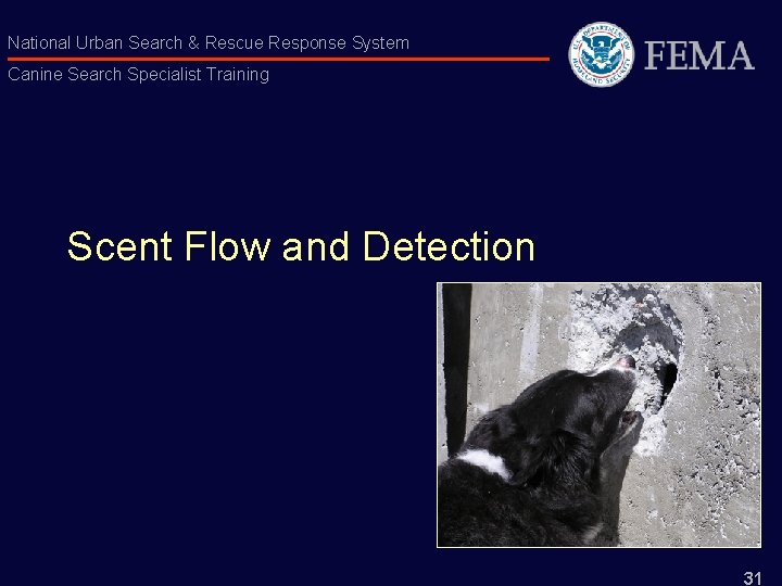 National Urban Search & Rescue Response System Canine Search Specialist Training Scent Flow and