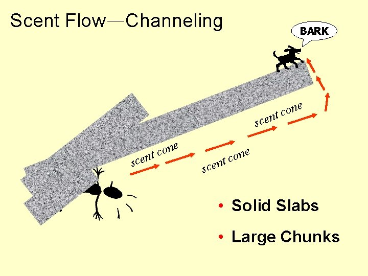 Scent Flow—Channeling BARK e n o tc scen on c t scen e •