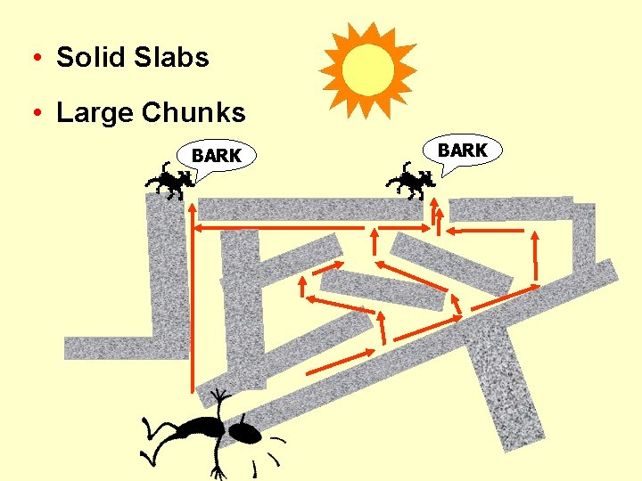  • Solid Slabs • Large Chunks BARK 