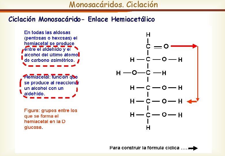 Monosacáridos. Ciclación Monosacárido- Enlace Hemiacetálico 