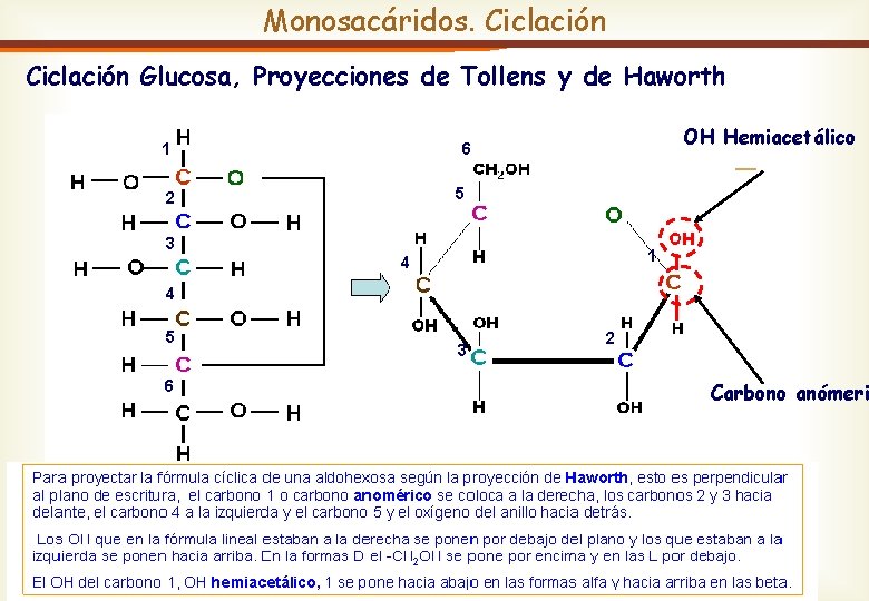 Monosacáridos. Ciclación Glucosa, Proyecciones de Tollens y de Haworth 1 2 OH Hemiacetálico 6