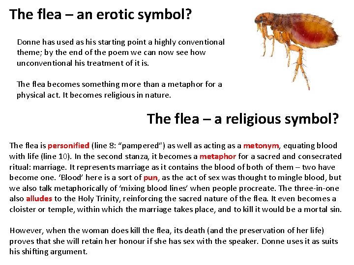 The flea – an erotic symbol? Donne has used as his starting point a