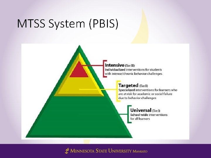 MTSS System (PBIS) 