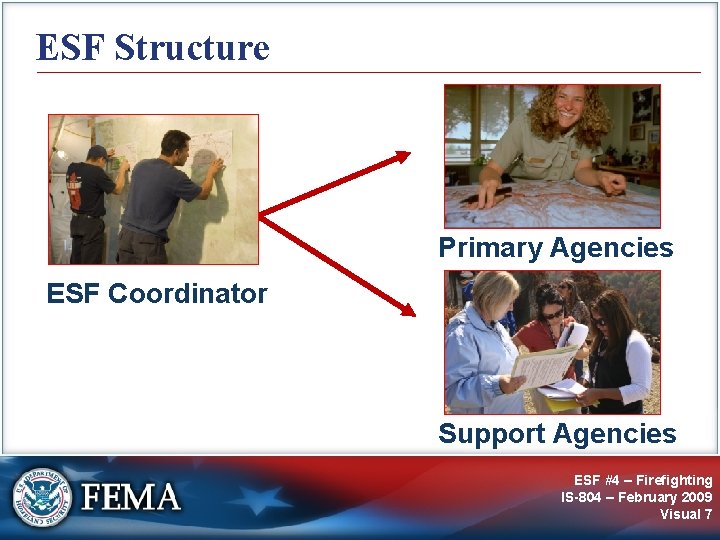 ESF Structure Primary Agencies ESF Coordinator Support Agencies ESF #4 – Firefighting IS-804 –