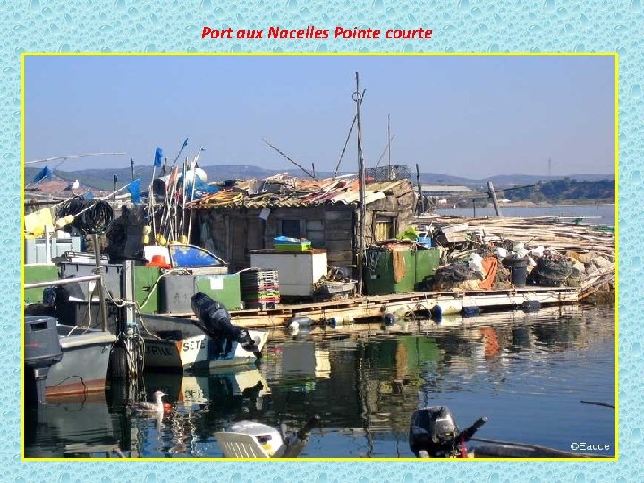 Port aux Nacelles Pointe courte 