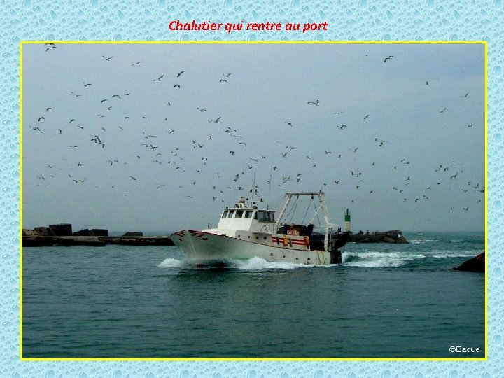 Chalutier qui rentre au port 