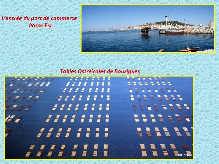 L’entrée du port de commerce Passe Est Tables Ostréicoles de Bouzigues 