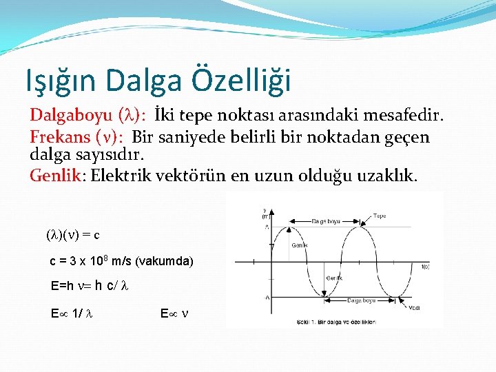 Işığın Dalga Özelliği Dalgaboyu (l): İki tepe noktası arasındaki mesafedir. Frekans ( ): Bir