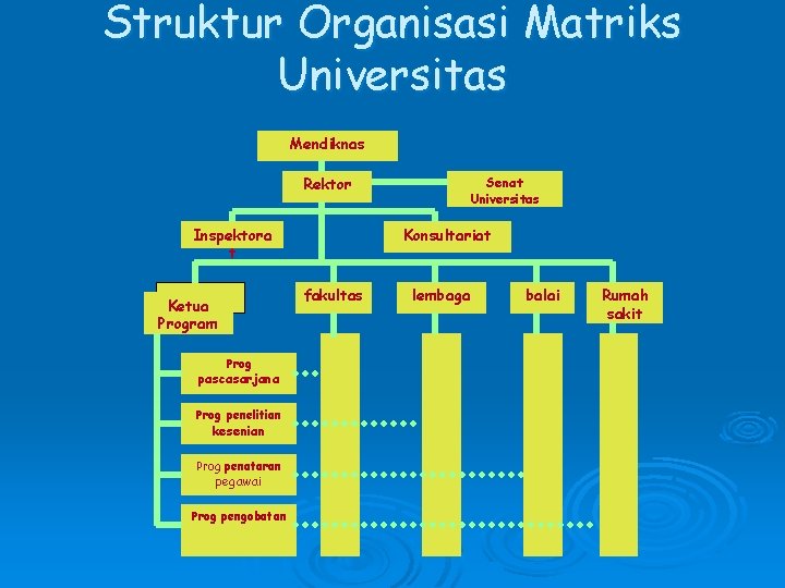 Struktur Organisasi Matriks Universitas Mendiknas Rektor Inspektora t Konsultariat fakultas Ketua Program Prog pascasarjana