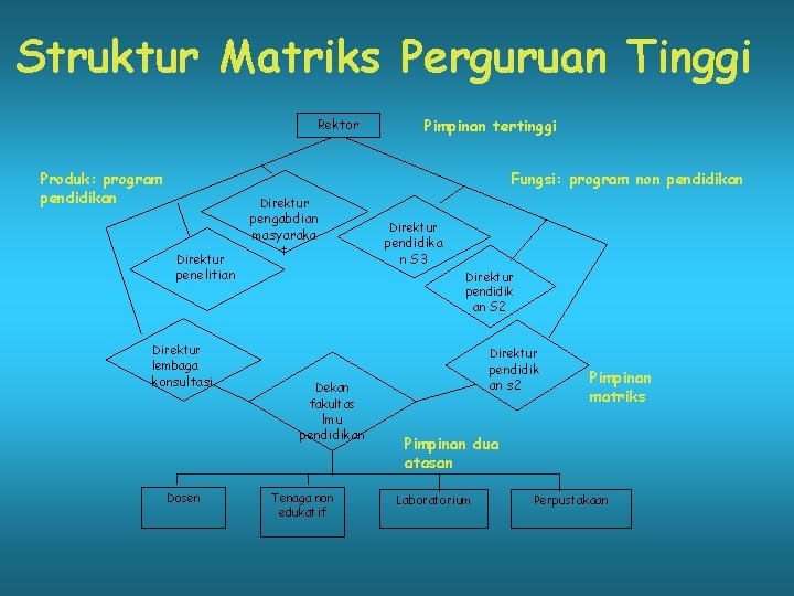 Struktur Matriks Perguruan Tinggi Rektor Produk: program pendidikan Pimpinan tertinggi Fungsi: program non pendidikan