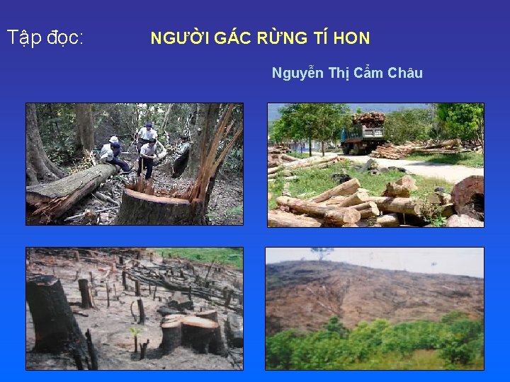 Tập đọc: NGƯỜI GÁC RỪNG TÍ HON Nguyễn Thị Cẩm Châu 