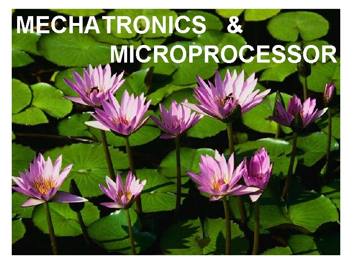 MECHATRONICS & MICROPROCESSOR 