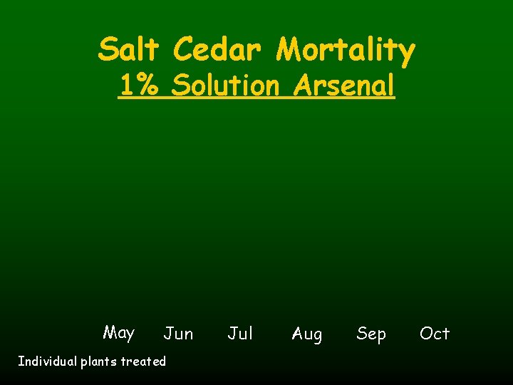 Salt Cedar Mortality 1% Solution Arsenal May Jun Individual plants treated Jul Aug Sep