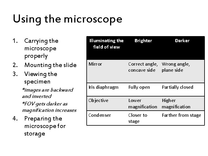 Using the microscope 1. Carrying the microscope properly 2. Mounting the slide 3. Viewing