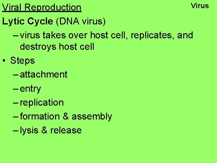Virus Viral Reproduction Lytic Cycle (DNA virus) – virus takes over host cell, replicates,