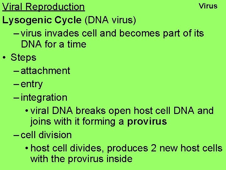 Virus Viral Reproduction Lysogenic Cycle (DNA virus) – virus invades cell and becomes part