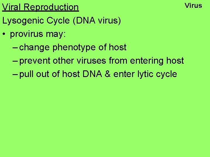 Virus Viral Reproduction Lysogenic Cycle (DNA virus) • provirus may: – change phenotype of