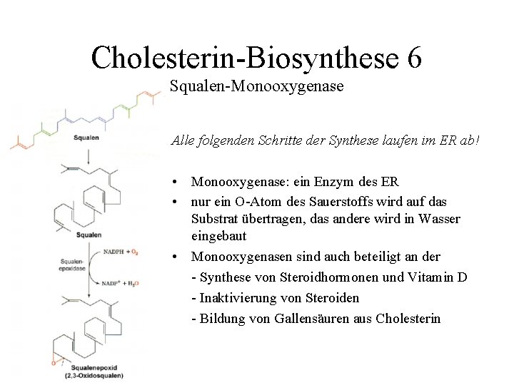Cholesterin-Biosynthese 6 Squalen-Monooxygenase Alle folgenden Schritte der Synthese laufen im ER ab! • Monooxygenase: