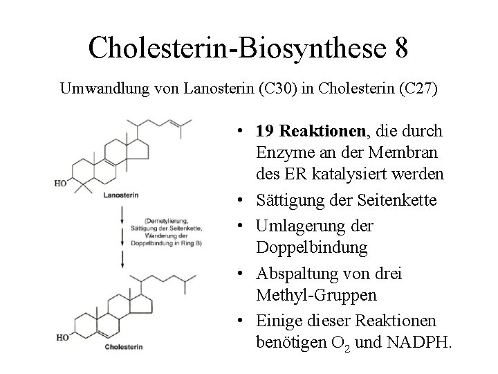 Cholesterin-Biosynthese 8 Umwandlung von Lanosterin (C 30) in Cholesterin (C 27) • 19 Reaktionen,