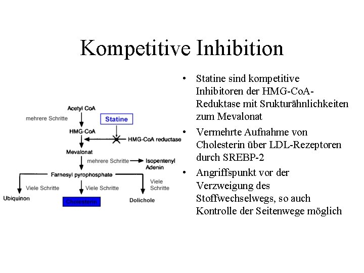 Kompetitive Inhibition • Statine sind kompetitive Inhibitoren der HMG-Co. AReduktase mit Srukturähnlichkeiten zum Mevalonat