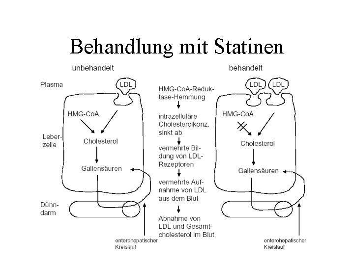 Behandlung mit Statinen 