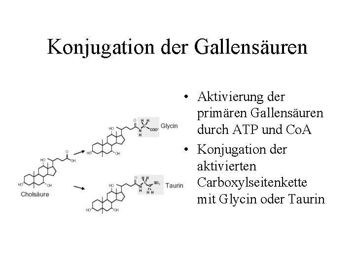 Konjugation der Gallensäuren • Aktivierung der primären Gallensäuren durch ATP und Co. A •