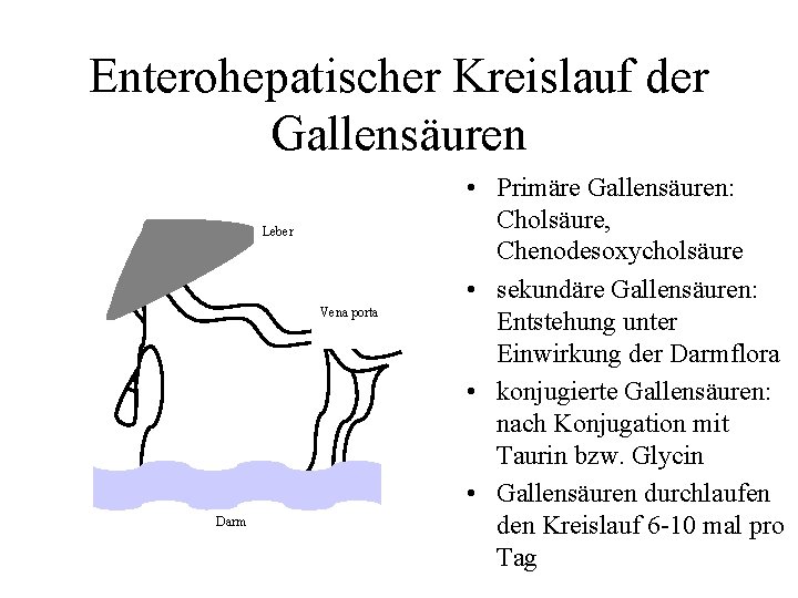 Enterohepatischer Kreislauf der Gallensäuren Leber Vena porta Darm • Primäre Gallensäuren: Cholsäure, Chenodesoxycholsäure •