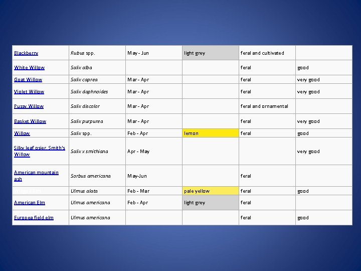 Blackberry Rubus spp. White Willow Salix alba Goat Willow Salix caprea Violet Willow May